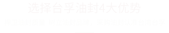 氟橡胶骨架油封